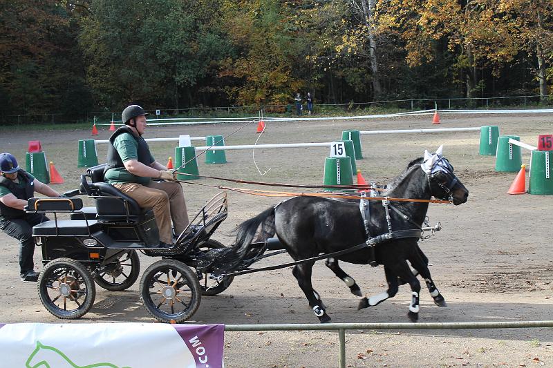 Vereinsturnier Fahrverein 2012